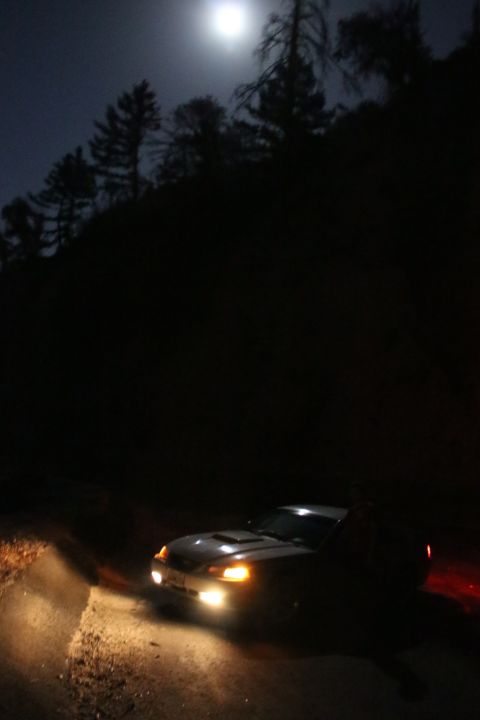 2002 Ford Mustang - Car parked on a dirt road at night, illuminated by its headlights and the moon.