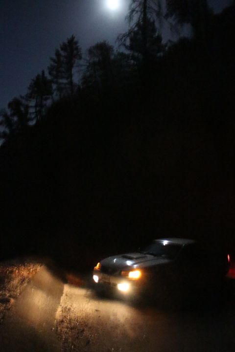 2002 Ford Mustang - A car navigates a dark, wooded area at night, illuminated by its headlights and the moon.