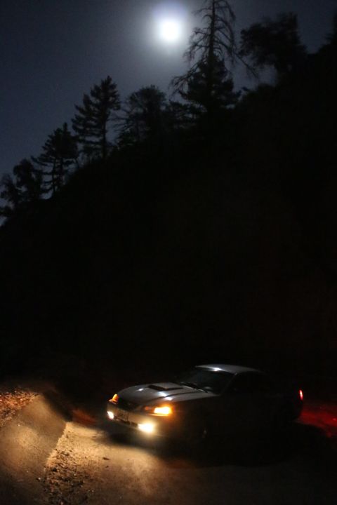 2002 Ford Mustang - A 2002 Ford Mustang is seen from a 3/4 front view on a dark, wooded road at night.