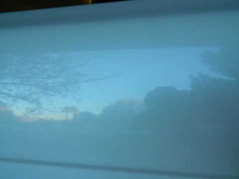 1979 Ford Bronco - Reflection of trees and sky on the side of a light blue vehicle.