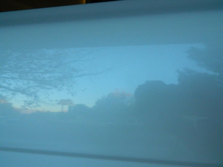 Light blue vehicle surface reflecting trees and sky