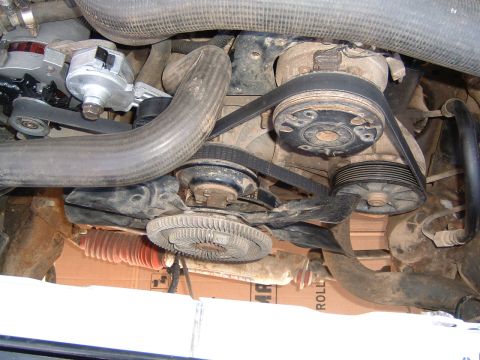 1987 Ford Bronco - Close-up view of the engine's serpentine belt system and associated components.
