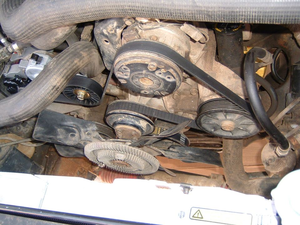 Engine bay with serpentine belt, pulleys, and fan clutch. Water pump is visible
