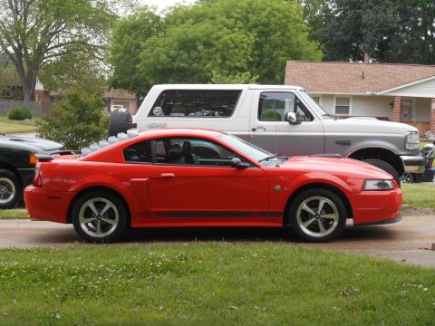 1997 Ford Ranger - Side view of a red 2000 Ford Mustang coupe and a white Ford Bronco.