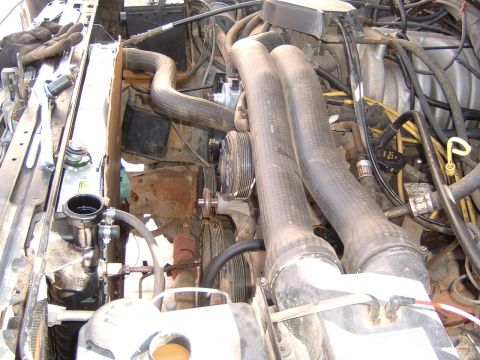 1987 Ford Bronco - Close-up view of a vehicle's engine compartment, showing various mechanical components and hoses.