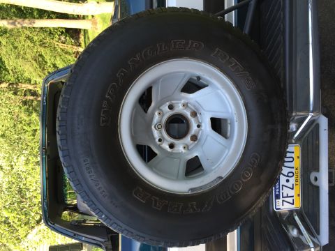1994 Ford Bronco - Spare tire and license plate are visible on the rear of the vehicle.