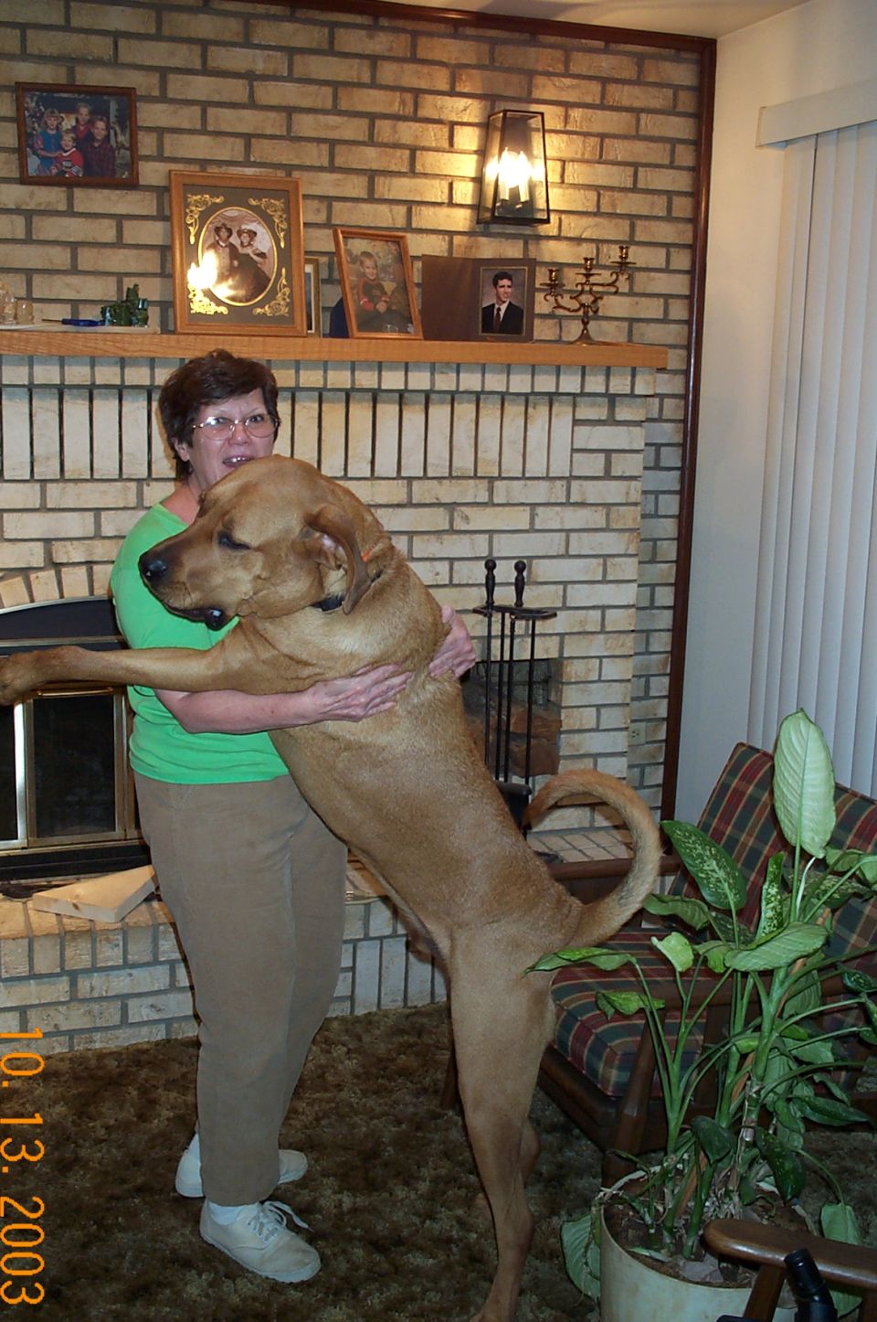 Woman in green shirt holding large tan dog upright against brick fireplace in living room