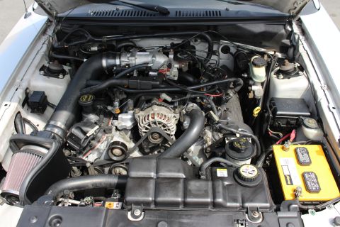 2002 Ford Mustang - The engine bay of a 2002 Ford Mustang, with the hood open, revealing the V8 engine and its components.