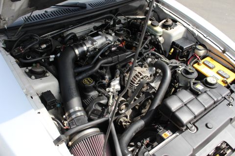 2002 Ford Mustang - The engine bay of a 2002 Ford Mustang shows its V8 engine with an aftermarket cold air intake system installed.