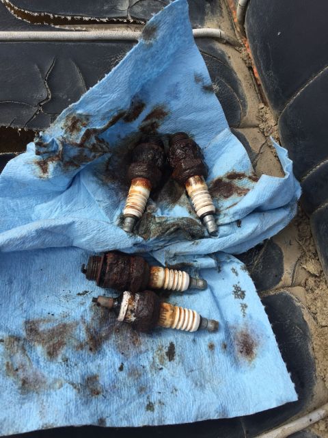 1946 Jeep Willys - Four heavily soiled and rusted spark plugs are laid out on a blue paper towel. The spark plugs appear to be from an older vehicle, possibly…