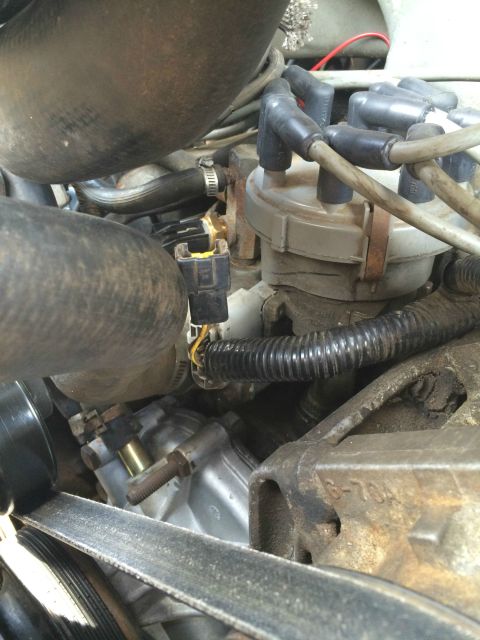 1989 Ford Bronco - A close-up view of engine components in a 1989 Ford Bronco, including spark plug wires, a distributor cap, hoses, and a drive belt.