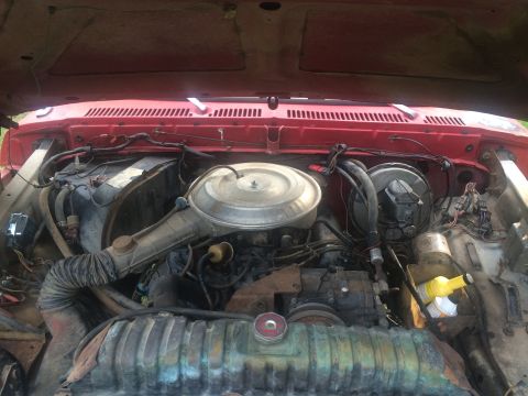 1979 Ford Bronco photo