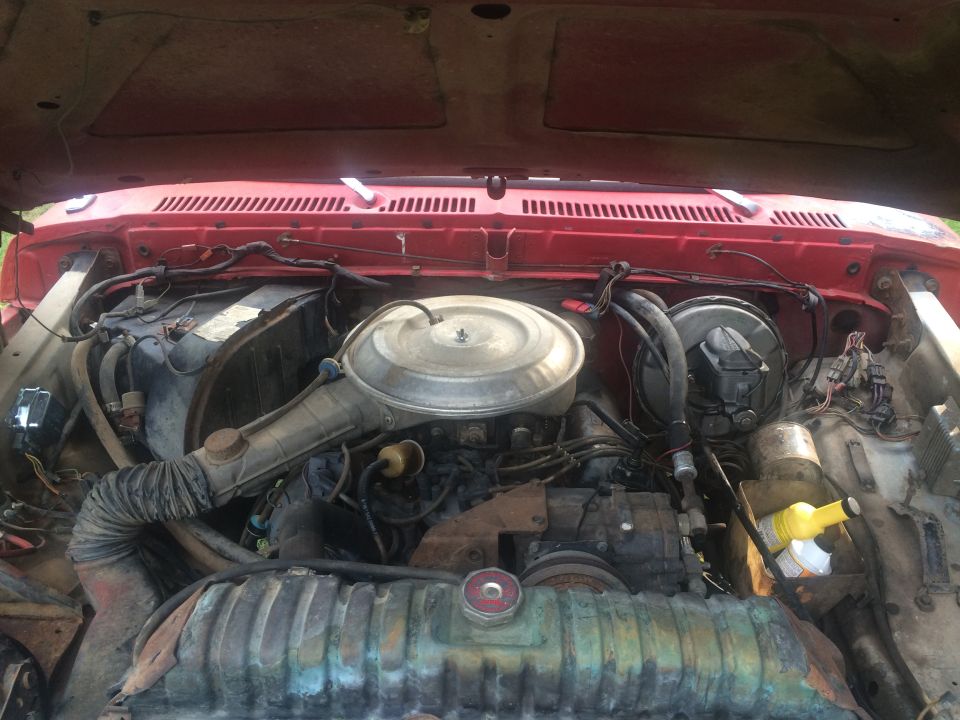 Engine bay of red vehicle with round chrome air cleaner on carbureted V8, wiring and hoses visible