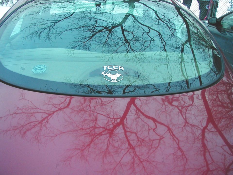 Red car's rear window with tree reflections and a TCCA decal