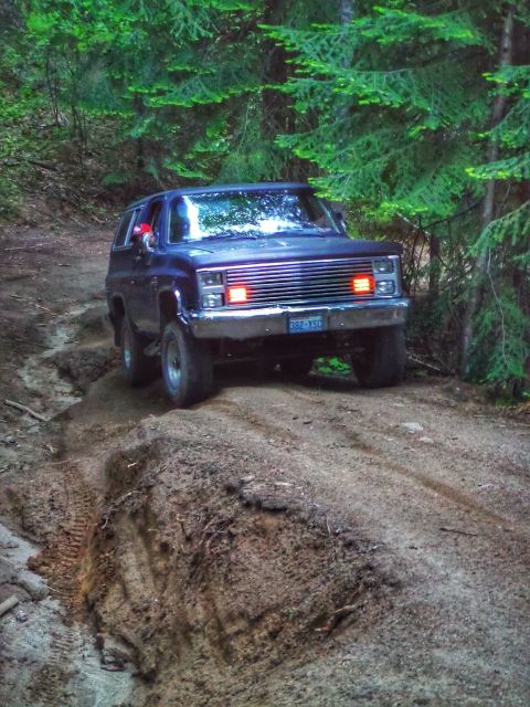 2005 Jeep Wrangler - A dark blue SUV is driving on a dirt road through a forest with pine trees. The vehicle has its hazard lights on, illuminating the grille.