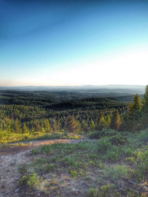 2005 Jeep Wrangler - A vast landscape of rolling hills covered in dense evergreen trees stretches towards the horizon under a clear blue sky.