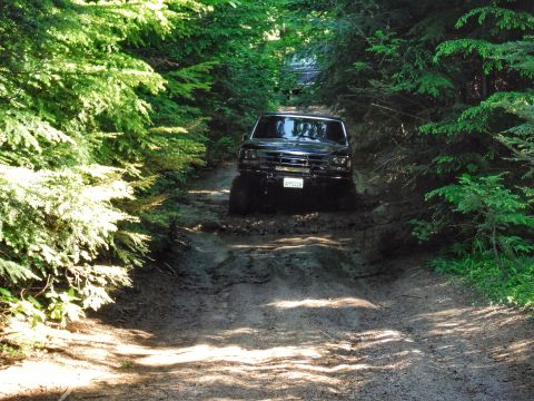 2005 Jeep Wrangler - A black off-road vehicle navigates a muddy trail surrounded by dense green foliage. The vehicle's front bumper and license plate, reading "…