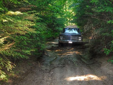 2005 Jeep Wrangler - A black pickup truck navigates a muddy, rutted path through a dense forest. The truck is partially submerged in mud and water, with trees a…