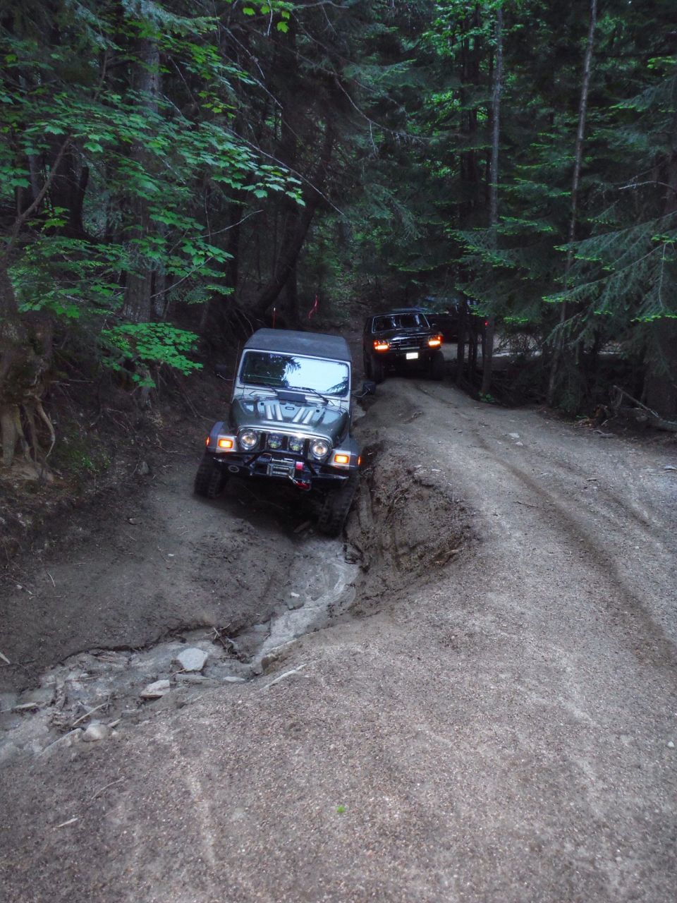 Green Jeep Wrangler and black SUV on a muddy forest trail.
