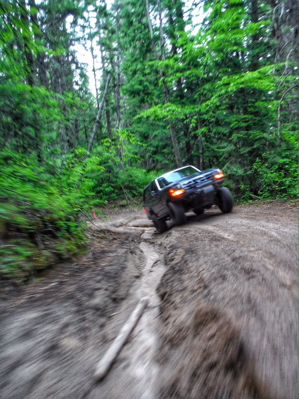 Dark Jeep Wrangler driving on a muddy forest trail.