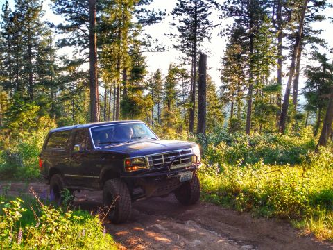 2005 Jeep Wrangler - A dark colored SUV is parked on a dirt road surrounded by tall pine trees and lush green foliage. The vehicle has a light bar mounted on th…