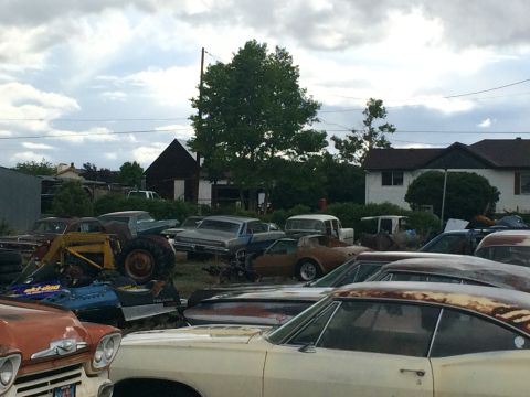 1968 Ford Mustang - Outdoor photo of a classic-car yard, not a technical document.