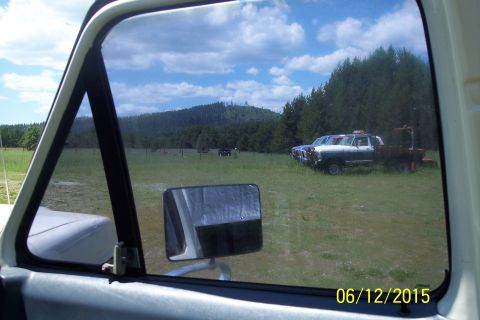 1990 Ford Bronco - View through a vehicle window shows three pickup trucks parked in a grassy field with a wooded hill in the background. The truck closest to…