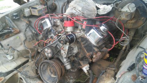 1979 Ford Bronco - Engine bay view of a V8 engine, showing chrome valve covers and red spark plug wires.