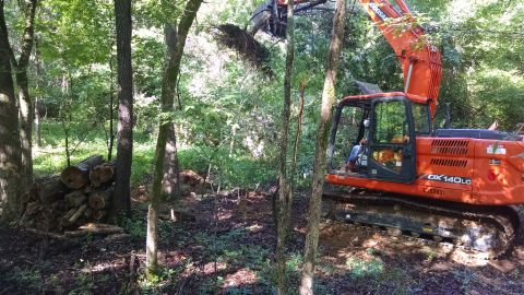 1983 Ford Bronco - Clearing trees for my future driveway.