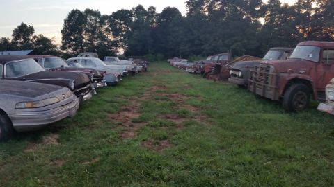 2015 Chevrolet new - A long row of vintage vehicles, mostly trucks and cars, are parked in a grassy field with trees in the background.