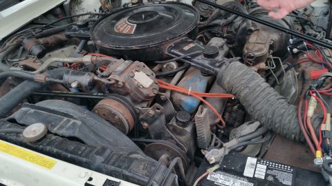 1991 Ford LTD Crown Victoria - Photo of a dusty vintage V8 engine bay with air cleaner and battery, not a technical document.