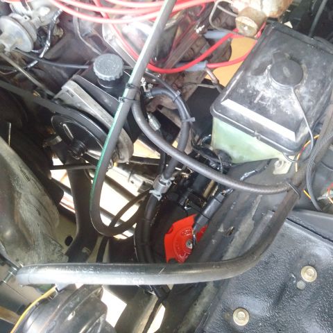 1978 Ford Bronco - A close-up view of a vehicle's engine bay, showing various hoses, belts, and a black reservoir. A bright red horn is visible near the botto…