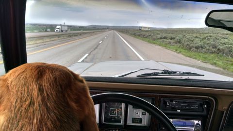 1979 Ford F-150 - Copper Driving