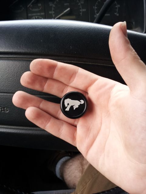 Headlight Switch Knob - 1995 Ford Bronco