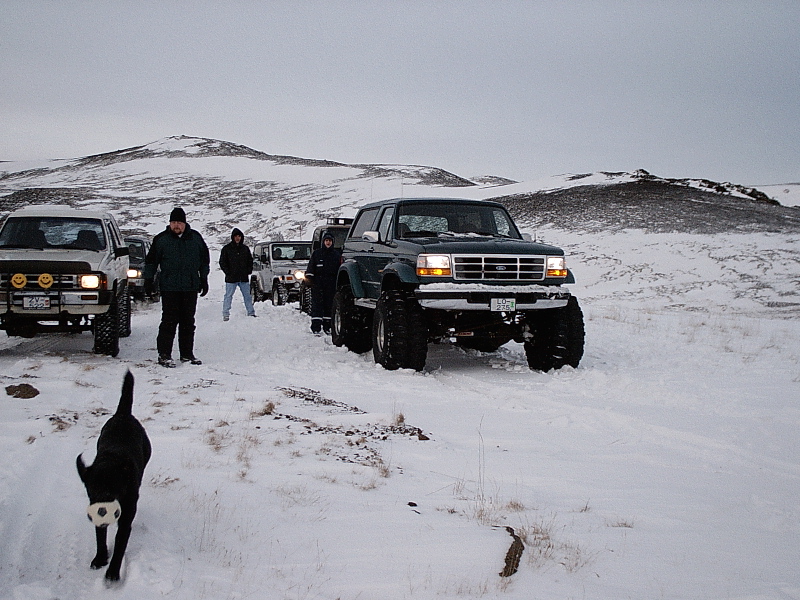 Lifted green Ford truck on huge tires parked in snow with other 4x4s, people, and a black dog.