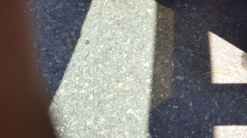 2001 Ford Crown Victoria - Photograph of asphalt pavement with a painted line, not a technical document.