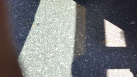 2001 Ford Crown Victoria - Photograph of asphalt pavement with painted parking markings, not a technical document.