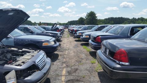 2001 Ford Crown Victoria - Photo of multiple Ford Crown Victoria sedans parked in rows at an outdoor salvage yard.