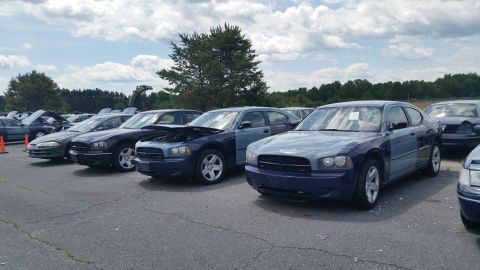 2001 Ford Crown Victoria - Multiple Dodge Chargers are parked in an outdoor lot under a cloudy sky.