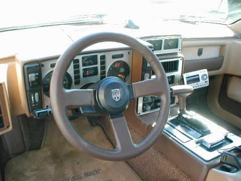 1986 Pontiac Fiero “SheBeast”