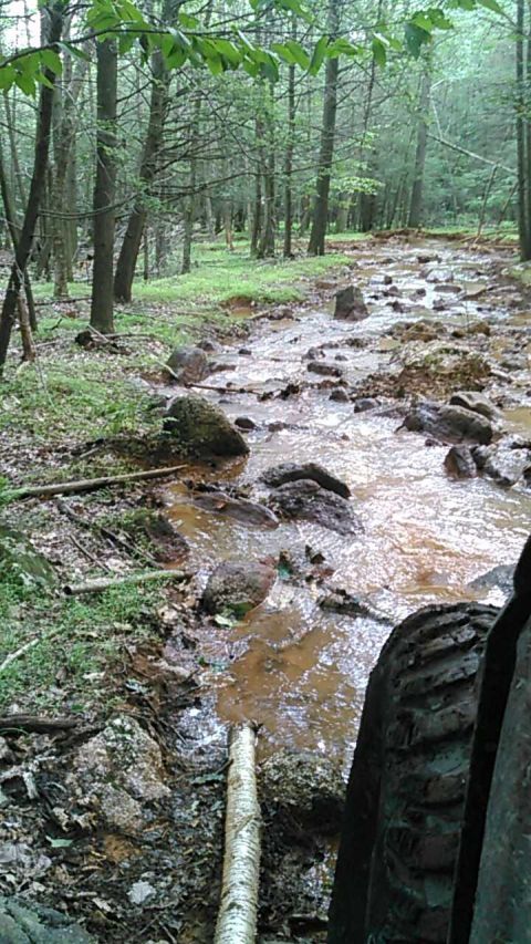 1988 Ford Bronco - A large, aggressive tire from a 1988 Ford Bronco is visible in the foreground, partially submerged in a muddy stream bed within a forest.