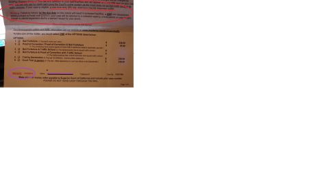 1973 Ford Ranchero - This is a close-up of a traffic citation notice with a due date of 07/29/2015. The notice lists several options for handling the citation,…