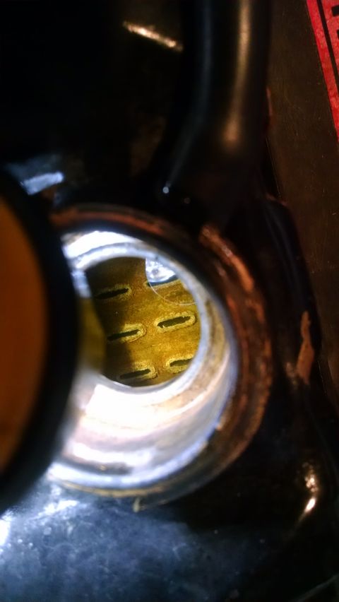 1979 Ford F-150 - A close-up view looking into the opening of a black reservoir, revealing a yellow liquid with a grid-like metal structure submerged within.…