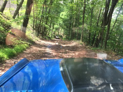 1974 Ford Bronco - The view from the driver's seat of a blue vehicle driving on a dirt road through a dense forest. Another white vehicle is visible further u…