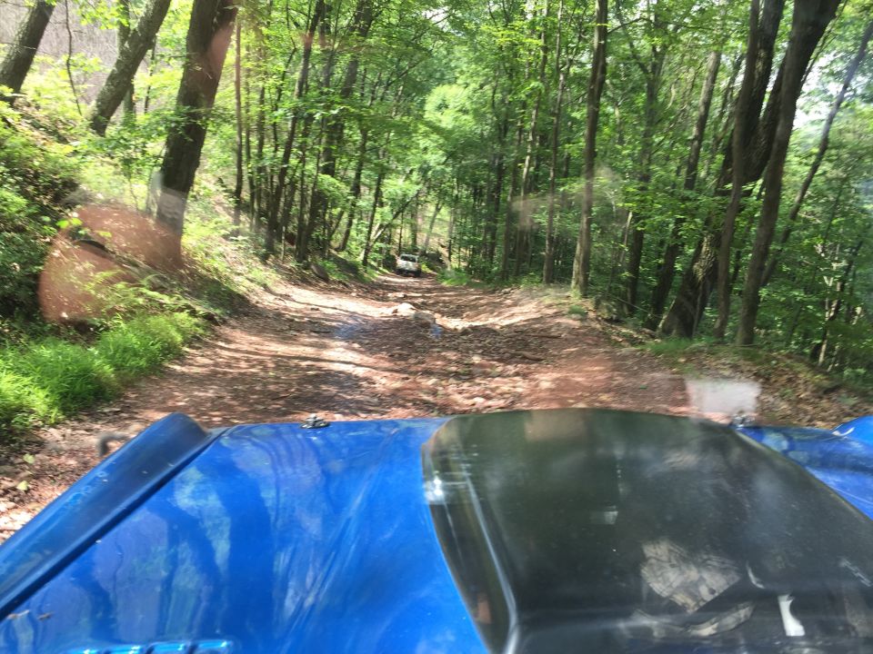View from inside a blue vehicle driving on a forest dirt road.