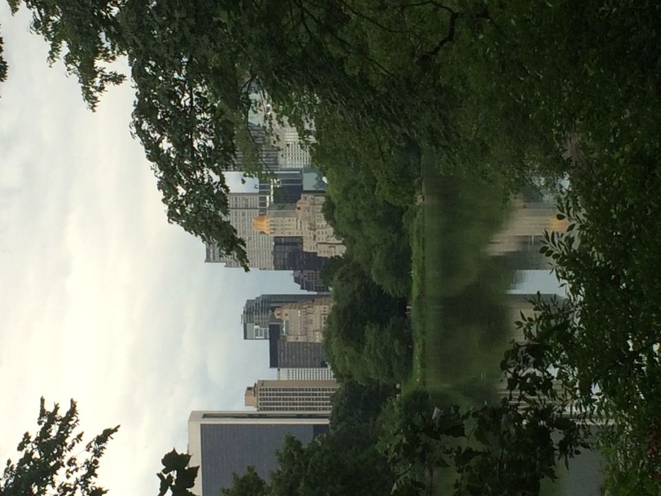 Central Park lake reflecting the Manhattan skyline framed by green trees