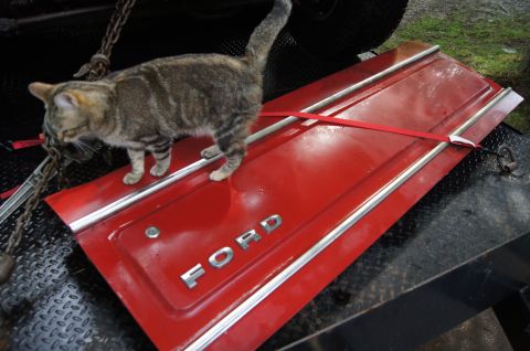 1979 Ford Bronco - Got an unbelievable Original tailgate with the parts truck!