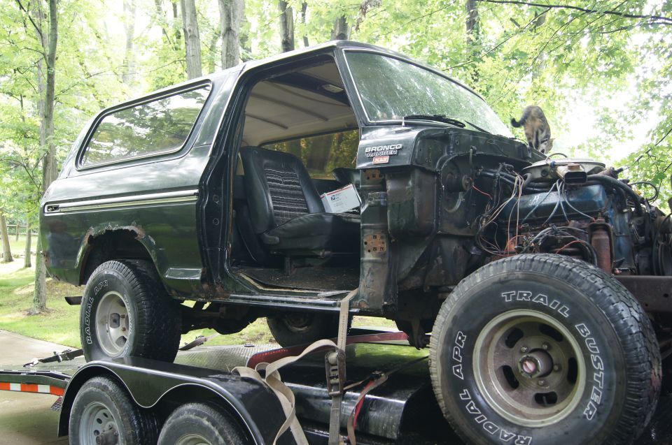 1979 Ford Bronco on trailer, front clip removed, engine exposed. Cat on hood