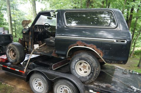 1979 Ford Bronco - Nice cap with the dark windows that we wanted. If anyone needs parts email me,