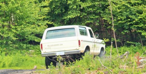 1979 Ford Bronco - A white Ford Bronco navigates a wooded trail, showing its rear profile and off-road capabilities.